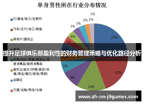提升足球俱乐部盈利性的财务管理策略与优化路径分析 提升足球俱乐部盈利性的财务管理策略与优化路径分析