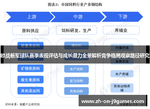 欧战新军球队赛季表现评估与成长潜力全景解析竞争格局观察路径研究