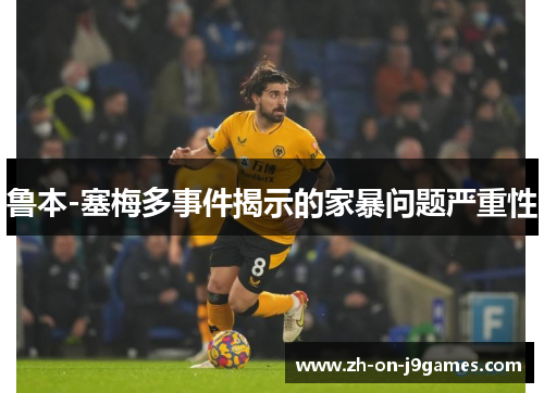 鲁本-塞梅多事件揭示的家暴问题严重性