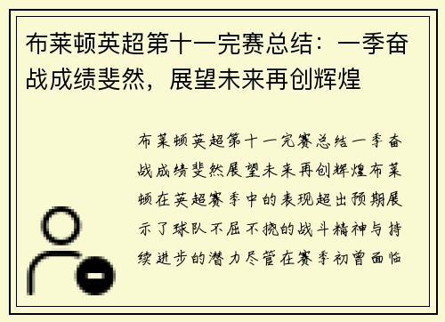 布莱顿英超第十一完赛总结：一季奋战成绩斐然，展望未来再创辉煌
