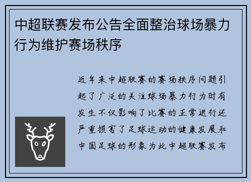 中超联赛发布公告全面整治球场暴力行为维护赛场秩序
